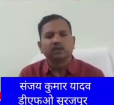 सूरजपुर: केरता में शादी से वापस घर लौट रहे युवक को हाथी ने कुचला, मौके पर ही हुई मौत