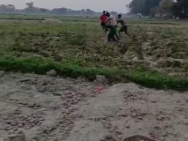रायबरेली: पूरे कुम्हारन हाजीपुर में आलू खुदाई के दौरान 2 पक्षों में हुई मारपीट, पुलिस ने किया केस दर्ज