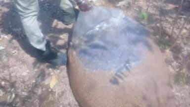 ମେଳଛାମୁଣ୍ଡା: ଦୁବଳାବାହାଲ ଗ୍ରାମରୁ ବିପୁଳ ପରିମାଣର ମହୁଲ ପୋଚ ଜବତ କଲା ଅବକାରୀ ବିଭାଗ