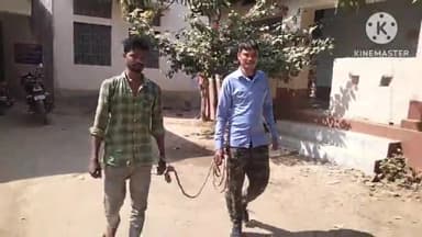 बेलहर: कुर्थिया में शादी समारोह में शराब पीकर हंगामा कर रहा शराबी हुआ गिरफ्तार, कोरोना जांच के बाद न्यायिक हिरासत में भेजा गया