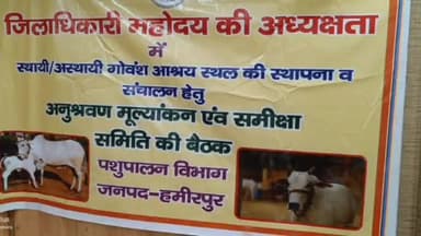 हमीरपुर: हमीरपुर के कलेक्ट्रेट सभागार में अन्ना गौवंश आश्रय स्थल के संचालन व प्रबंधन कार्यों पर हुई समीक्षा बैठक
