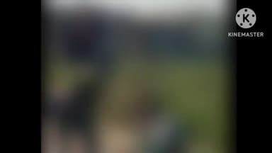 बुलंदशहर: कोतवाली नगर क्षेत्र के मोहल्ले में महिला ने प्रधान को बिना बताए कि नाबालिग पुत्री की शादी