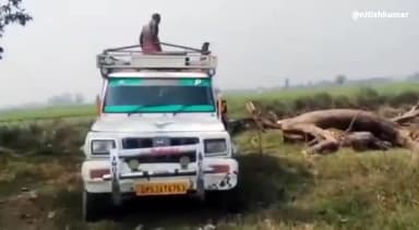 गोला: लोनाव में अवैध लकड़ी की कटान के विरोध में बांसगांव थाने में दी तहरीर