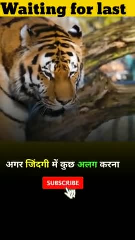 All India friend motivational speech/status #shorts #public #allindiafriend #motivation