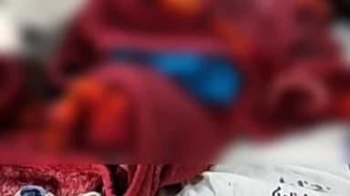 सिवनी: बिहिरिया गांव में युवती को जहरीले सांप ने काटा, जिला अस्पताल में कराया गया भर्ती