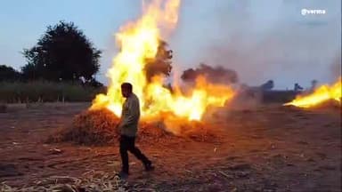 इछावर: जिले के किसानों से कृषि विभाग ने नरवाई न जलाने की की अपील, कहा- नरवाई का उपयोग खाद एवं भूसा बनाने में करें किसान भाई