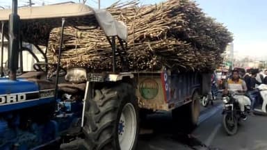 जगाधरी: कन्हैया चौक पर ट्रैक्टर ट्राॅली और एक्टिवा की टक्कर में घायल युवक की इलाज के दौरान देर रात हुई मौत