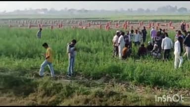 बिधूना: भदौरा मार्ग पर पेड़ से फांसी पर झूलता मिला युवक का शव मौके पर पुलिस पहुंची, परिजनों में होली से पूर्व पसरा मातम