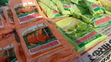 बड़गांव: होली पूर्व बिकने को तैयार हुए हर्बल गुलाल, वन विभाग कार्यालय के बाहर बनाए गए बिक्री केंद्र