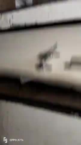 ekikrit High school chhirkheda tahsil kurwai jila Vidisha siper Safai karmchari Arvind dhaulpuriya