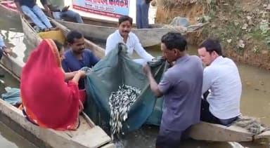 जनपद पंचायत बम्हनीडीह के ग्राम पंचायत बसन्तपुर में बसन्तपुर बैराज में आज प्रधानमंत्री मत्स्य सम्पदा योजना के तहत बसंतपुर बैराज में मत्स्य विभाग द्वारा मछली छोड़ा गया।