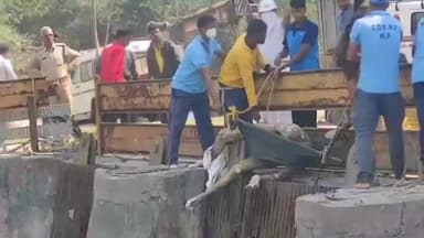 देवसर: NTPC के कैनाल में हाइड्रो प्लांट के पास एक व्यक्ति की मिली लाश, शिनाख्त में जुटी पुलिस