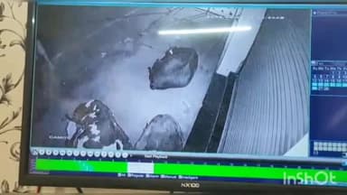 कानपुर: गोविंद नगर में गाय चोरी की वारदात CCTV में कैद, पुलिस पर लगे उचित कार्रवाई न करने के आरोप