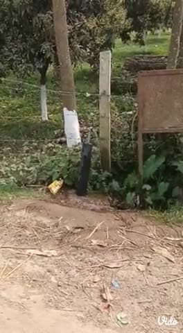 अररिया प्रखंड के तरौना भोजपुर पंचायत के वार्ड न0 14 गांव अररबाडी* हमारे वार्ड में नल से जल वाली योजना कुछ इस तरह है घर