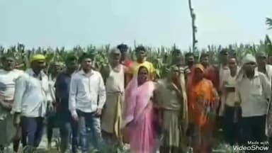 विभूतिपुर: भुसबर में नहीं लगी फसल में दाना लोग परेशान