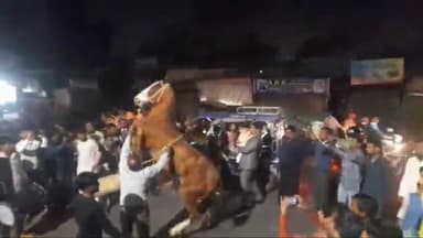 मुरादाबाद: डिप्टी गंज चौराहे पर घोड़े का डांस करते वीडियो सोशल मीडिया पर हुआ वायरल