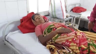 बैतूल नगर: घिसी बागला के जंगल में खेत से घर लौट रही महिला पर जंगली सूअर ने किया हमला, जिला अस्पताल में भर्ती