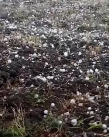 सिरोंज: सिरौंज क्षेत्र के आधा दर्जन से अधिक ग्रामों में भारी बारिश के साथ हुई ओलावृष्टि, किसानों की फसलें हुई बर्बाद