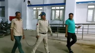 बैतूल नगर: झल्लार पुलिस ने छेड़छाड़ के मामले में एक आरोपी को किया गिरफ्तार कराया मेडिकल भेजा जेल