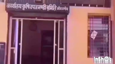 भीकनगांव: भिकनगांव कृषि उपज मंडी में सफेद सोने में आई भारी गिरावट 84 वाहन बैलगाड़ीकी रही आवाक कपास का अधिकतम भाव ₹7950 प्रति क्विं