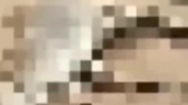 देवसर: चितरंगी गढ़वा मुख्य मार्ग पर तीव्र गति से परिवहन कर रहे एक पिकप वाहन ने गौवंश को मारी टक्कर,हुई मौत