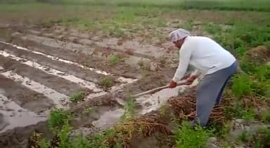 जलेसर: नगला दुर्जन में पड़ोसी किसान द्वारा आलू की फसल में पानी भर देने से नाराज किसान ने एसडीएम से की शिकायत