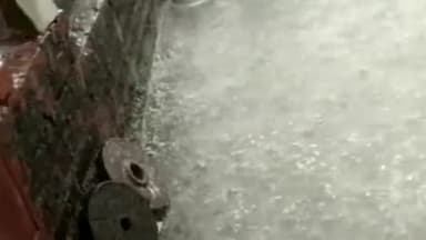 शिवपुरी के ग्राम सिरसौद पोहरी में अति घनघोर ओलावृष्टि हुई जिससे किसानों भाईयो की फसल हुई नष्ट