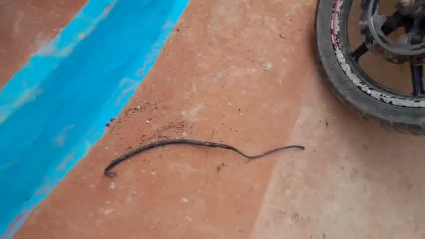 बिंदकी: #बकेवर थाना के मुसाफा गांव में गैस सिलेंडर फटने से मचा हड़कंप, मौके पर मौजूद पुलिस ।