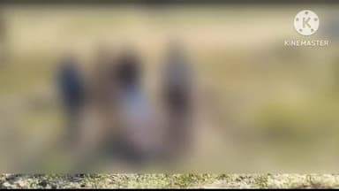 आगर: तनोडिया रोड पर ग्राम कचनारिया निवासी दो बाइक सवार को टक्कर मारने वाले ट्रक चालक पर आगर पुलिस ने दर्ज किया प्रकरण।