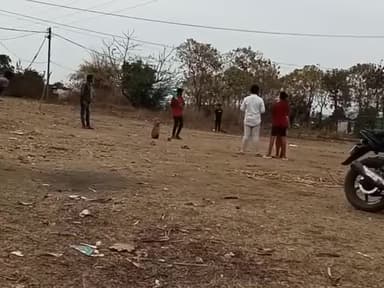 बैतूल नगर: bhimpur block me cricket match khelte hui kund 11 ki team 🏏🏏🔥❤️ #cricketbat