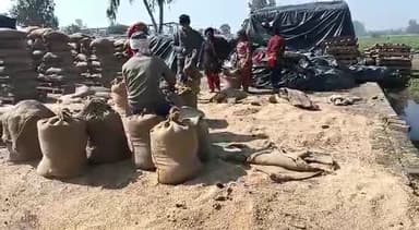 इंद्री: गांव नन्हेड़ा  स्थित यमुना सीड प्राइवेट लिमिटिड  के 10 बैग  सरसों के चोरी कर अज्ञात चोर फरार केस दर्ज