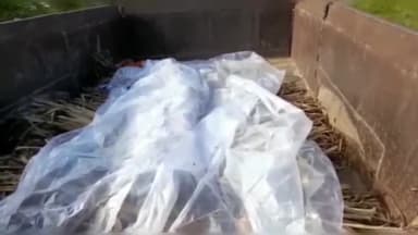 शाहजहांपुर: रोजा स्टेशन पर ट्रेन की चपेट में आकर सहायक लोको पायलट की हुई मौत, घटना के बाद परिवारी जनों में मचा कोहराम