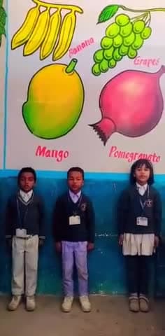 Divine public school Barkatha