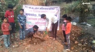 इछावर: मध्यप्रदेश जन अभियान परिषद द्वारा किया गया पौधारोपण, लोगों से पौधे लगाने की की अपील..