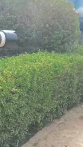 Instagram 🆔 Gumnaam Rasiya
#gumnaamrasiya #gumnaam_rasiya #holi #holifestival #holiday #holidays #holistic #holistichea