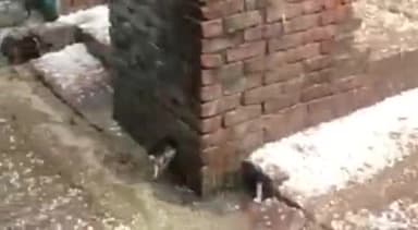 शिकोहाबाद: कस्बा खैरगढ़ में बारिश व भारी ओला वृष्टि से किसानों की फसल को हुआ भारी नुकसान