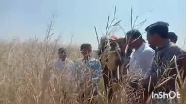 बासोदा: गंजबासौदा के पूर्व विधायक निशंक जैन ने कई गांवों में खराब फसलों का लिया जायजा, किसानों को मुआवजा दिलाने का दिया भरोसा