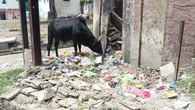 सिरोंज: शासन द्वारा प्रतिबंधित पॉलिथीन एवं सिंगल यूज़ प्लास्टिक का शहर में खुलेआम हो रहा उपयोग,नपा CMO बोले करेंगे कार्रवाई