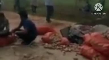 फरीदपुर: फरीदपुर बीसलपुर मार्ग पर गांव रिछूलिया के निकट आलू से भरा ट्रक खाई में पलटा चालक घायल