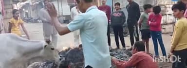 इछावर: इछावर नगर में धूमधाम के साथ मनाया जा रहा है होली का पर्व, महिला के नागिन गाने पर डांस का वीडियो हो रहा वायरल