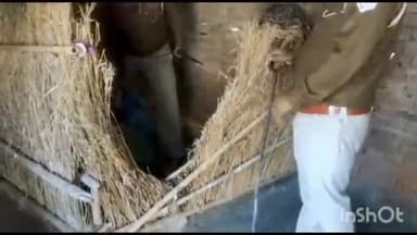 गोंडा: बलुहा समेत कई स्थानों पर आबकारी टीम ने अभियान चलाकर 130 लीटर अवैध कच्ची शराब किया बरामद, 250 किलो लहन किया नष्ट