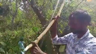 मिहींपुरवा: बिछिया के पास जंगली हिंसक जानवरों से बचाव के लिए ग्रामीणों द्वारा की गई झाड़ियों की साफ-सफाई