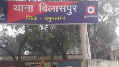 जगाधरी: संधाये गांव की पंचायती जमीन से काटे 150 पेड़, गांव के ही 4 लोगों पर लगा आरोप