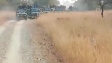 पन्ना: बाघिन पी-151 ने अपने चार शावकों के साथ टाइगर रिजर्व घूमने आए पर्यटकों का रोका रास्ता, फील्ड डायरेक्टर ने दी जानकारी