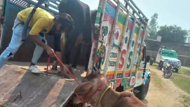 हरिद्वार: थाना बहादराबाद पुलिस ने गौ मांस की तस्करी करते एक अभियुक्त को किया गिरफ्तार