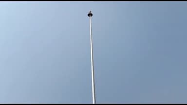 हज़ारीबाग: रेलवे स्टेशन से फिर गायब हुआ राष्ट्रीय ध्वज, हजारीबाग यूथ विंग के संरक्षक ने किया ट्वीट।