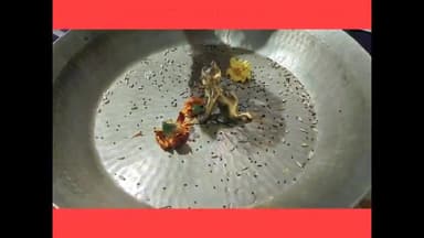 गोपाल का पूजा अभिषेक दर्शन करें ......
पंडित पवन कृष्ण शास्त्री