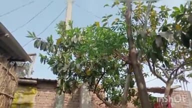 मोहिउद्दीननगर: नंदनी व चापर में 16 बिजली बिल बकायेदारों के काटे गए बिजली कनेक्शन