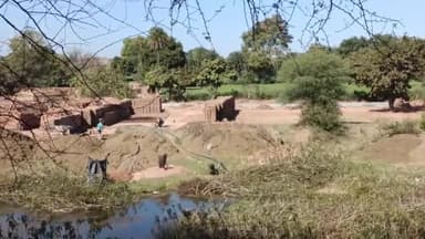 सिरोंज: शहर के विभिन्न स्थानों पर खुलेआम चल रहा ईंट भट्ठों का कारोबार, एडवोकेट राजकुमार ने प्रशासन पर लगाए आरोप