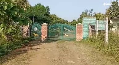 इछावर: चैनपुरा गांव के पास खिवनी अभ्यारण अमले ने घेराबंदी कर कार के साथ करीब ₹30हजार की अवैध सागौन की लकड़ी जब्त की, आरोपी फरार